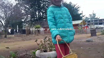 Martina en busca del conejito