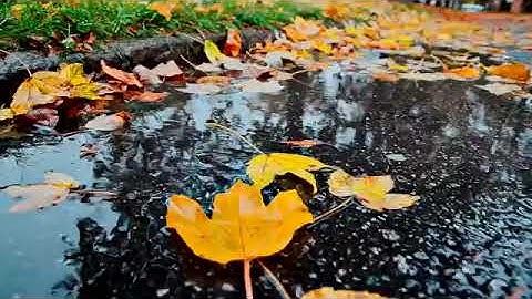 سورة الأنعام 111 إلى 150 - الشيخ/ محمود بن محمد العبد