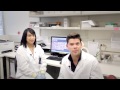 In The Lab - Complete Blood Count (CBC)