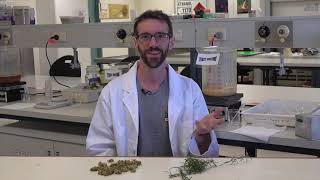 A history of beer - Science Week NT