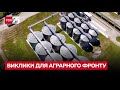 Нові виклики для аграрного фронту: яким буде врожай-2023?