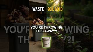 Stop Throwing Away Food Waste — This Japanese Method Turns It Into Powerful Soil