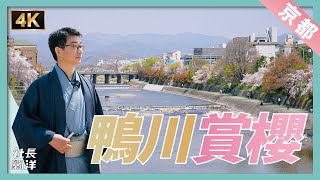 京都鴨川賞櫻，流淌的人文情懷 -  村上春樹、森見登美彥、萬城目學｜明治維新「坂本龍馬」｜本能寺之變「織田信長」｜京都・鴨川｜日本文化（Kyoto, Japan）｜社長劉洋第48期