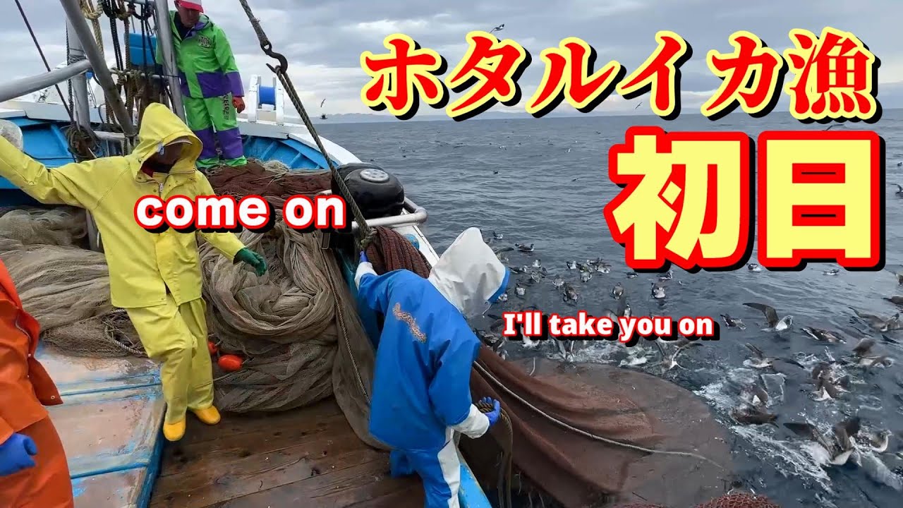 【底曳網漁】ホタルイカ漁初日は！【越前漁港の漁師達】