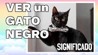 ¿Qué significa cuando VES un GATO NEGRO?