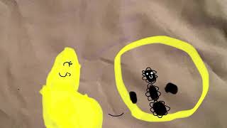 JSAB Gold vore JSAB Black Hole