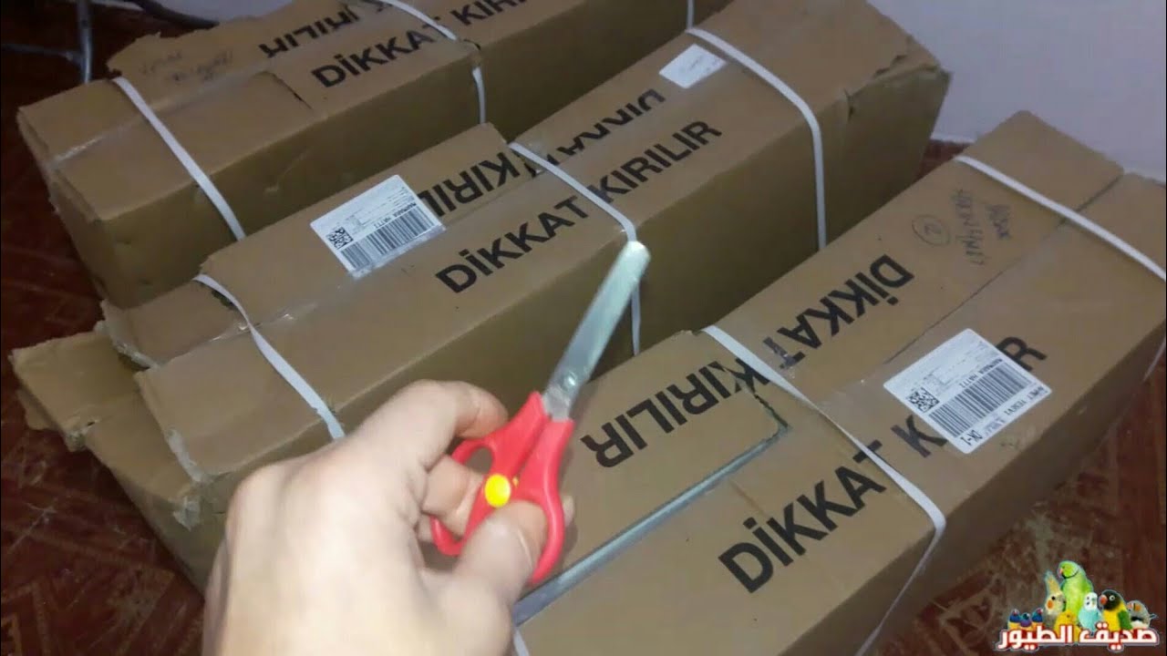 وأخيراً وصلت صناديق الأقفاص الجديدة لغرفة إنتاج الطيور