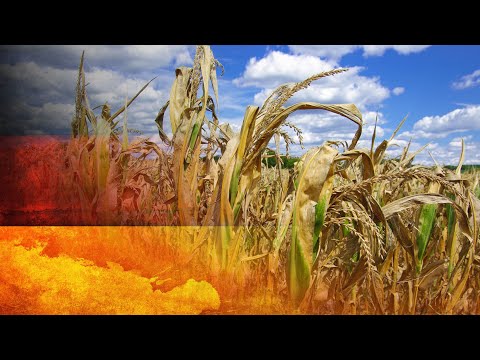 ❌🌾ЭКОНОМИКА ГЕРМАНИИ ПОД