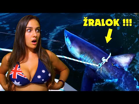 Video: Existujú V Čiernom Mori žraloky?