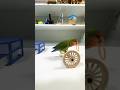 Bird Training:smart lovebird parrot l smart little cute parrot #training#smartparrot#cute