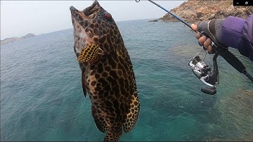 Câu Cá Biển | Câu Cá Mú, Mó cùng cảnh đẹp Hòn Sẹo - Nhơn Lý | fishing grouper