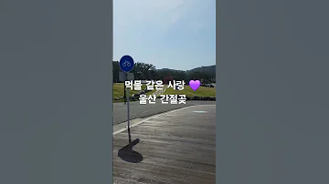 먹물 같은 사랑 박서진 울산 간절곶 