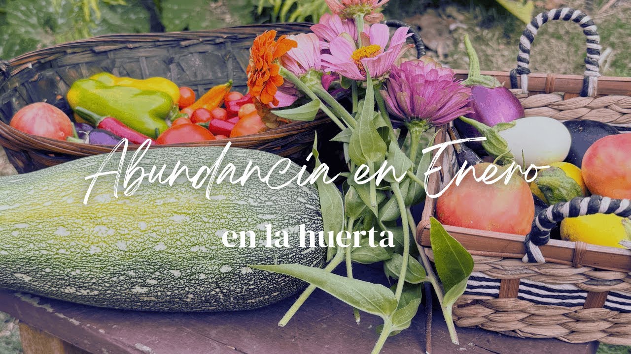 Cultivamos TODO nuestro alimento en 80 m2 | Esto es lo que cultivamos en Enero