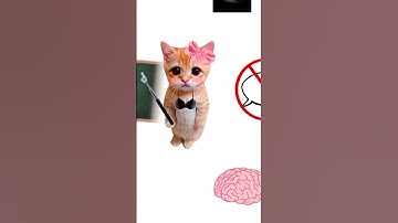 Why Does Kitty Say “Nothing’s Wrong”? Explain with kitties