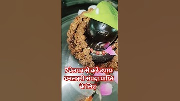 7 बेलपत्र से करें उपाय धन लक्ष्मी संपदा प्राप्ति के लिए @panditpradeepmishraofficial