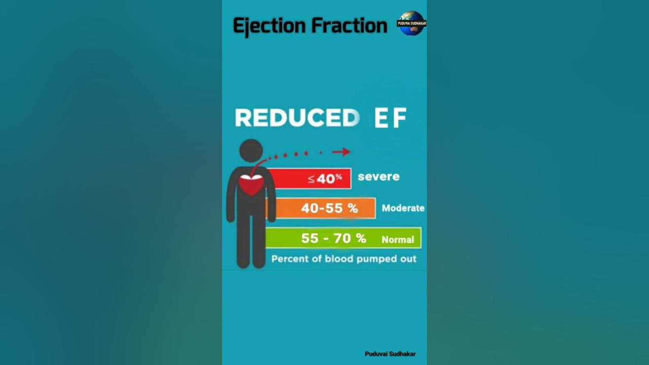 Ejection fraction ejection fraction normal ef value heart problem
