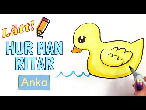 Video: Hur Man Stekar Anka