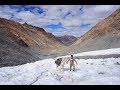 Himalaya la marche audessus bandeannonce