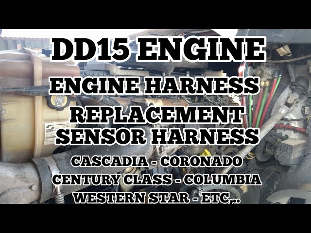 39 Freightliner Engine Wiring Harness - Wiring Diagram Online Source