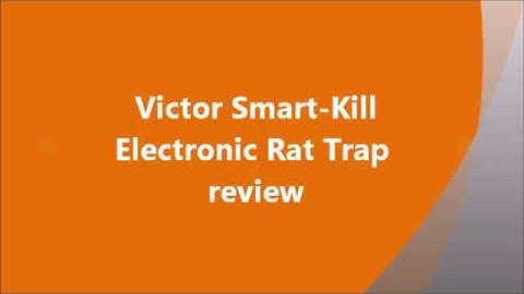 Victor Smart-Kill Rat Trap review