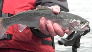 Winter Trolling Tactics for Trout in Washington