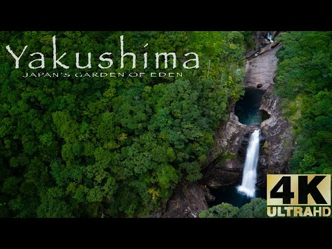 Video: Taman Negara Yakushima: Panduan Lengkap