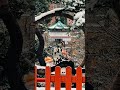 【清水観音堂】雪景色がまるで京都