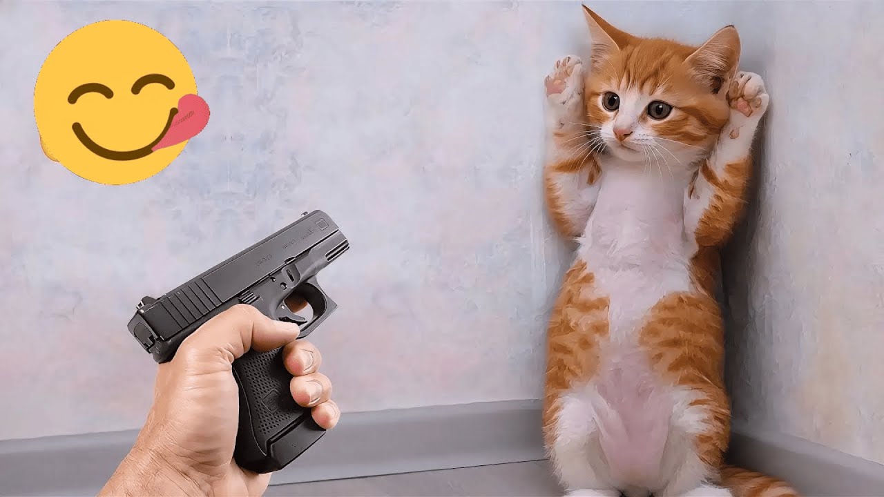 You Laugh You Lose 😹 Funniest Cats and Dogs 2026 🐶💝 Part 24