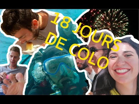 Vidéo: À quoi ressemble un colo colo ?