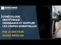 Webinar Gynécologie Obstétrique - Croissance et Doppler : Les Coupes Essentielles.