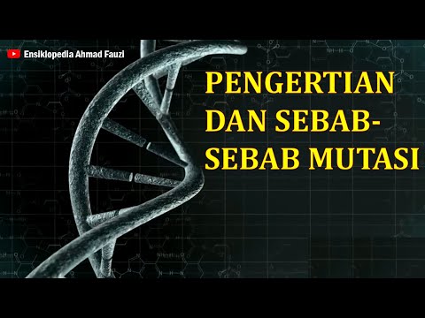 Video: Bagaimana agen interkalasi menyebabkan mutasi?