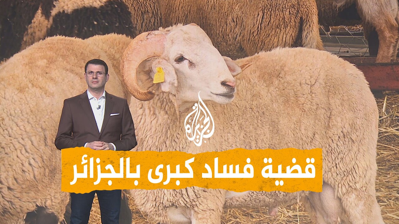 ����� | �������.. ���� ���� ������� ��������� ��� ������
 - نشر قبل 13 دقيقة