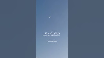 قراءة هادئة من سورة الغاشية.