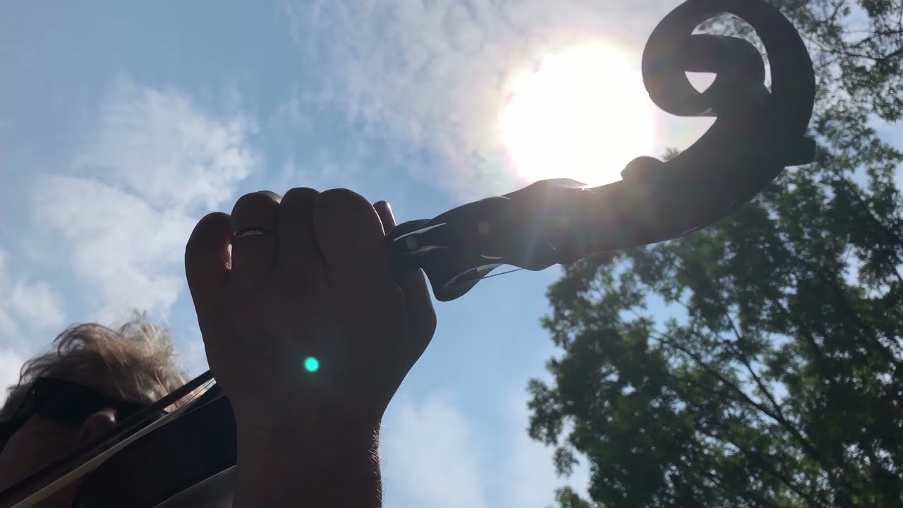 Eight Point Star - Sunshine Dog