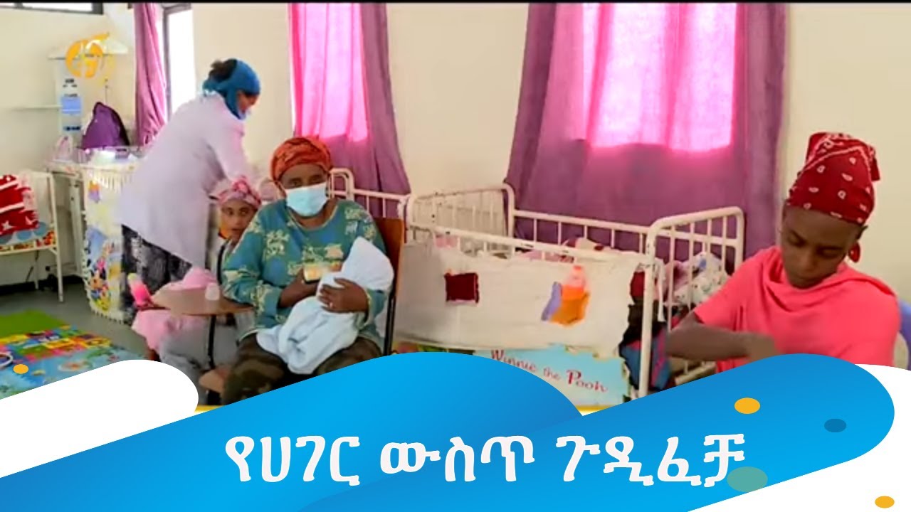 የሀገር ውስጥ ጉዲፈቻ