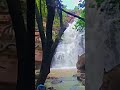 #Abhujmadh #naryanpur #Kachapal waterfull#youtubeshorts #nature #forest #subscribe to my channel plz
