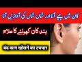 Kan me chappe aana | Kaan mein sayen sayen hona | Kaan me awaz aane ka ilaj | Tinnitus treatment