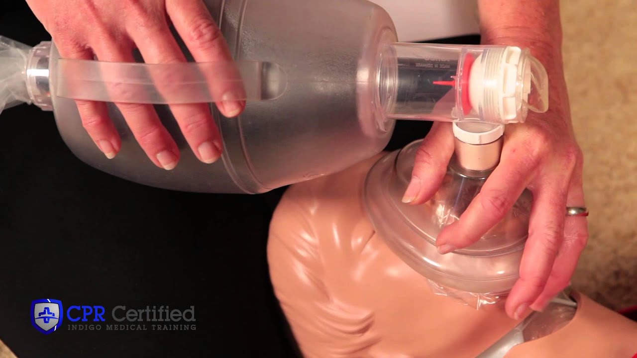 Doctor Hands Holding Resuscitation Bag. Stock Photo - Image of experiment,  hand: 219094814