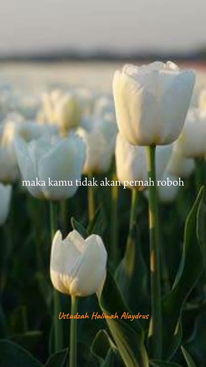 Menjadi Perempuan Kuat || #ustadzahhalimahalaydrus