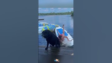 Funny fails(No one was injured during the  production of this video)😂🤣 #animation #cute #funny