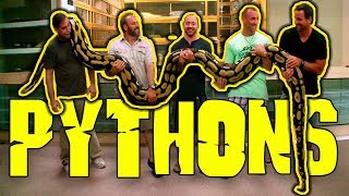Which World's First Python is Your Favorite?
