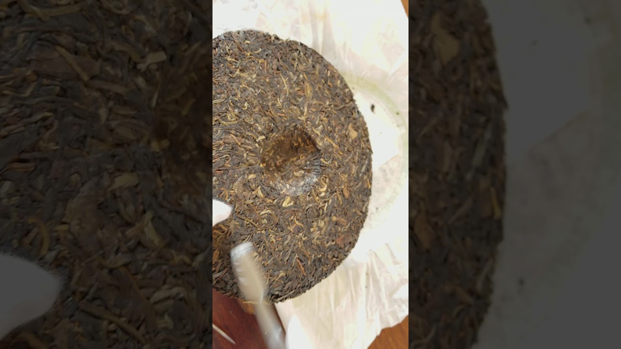 2009年 早春 - 布朗山大樹茶