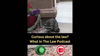 Watch my law show!  What In The Law Podcast is on Spotify and YouTube!