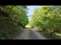 Ormanda kısa yürüyüş | Short walk in the forest