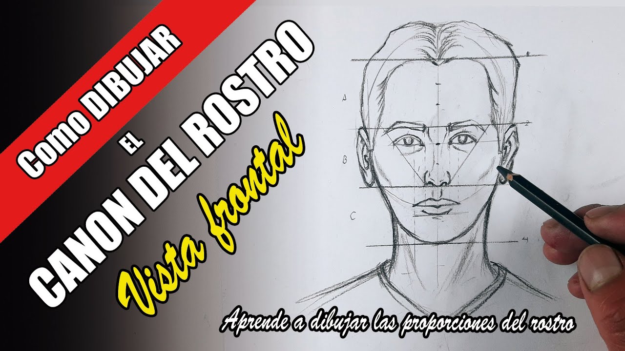 Como dibujar el CANON DEL ROSTRO Vista frontal