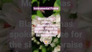 Morning has broken ☀️ #pianoworship #instrumentalhymns #shortsfeed #shorts #instrumentalcover
