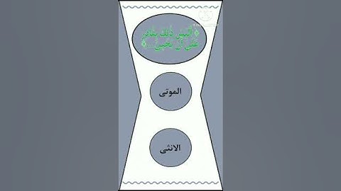 إختبر حفظك للقرآن الكريم يا مسلم ✔️