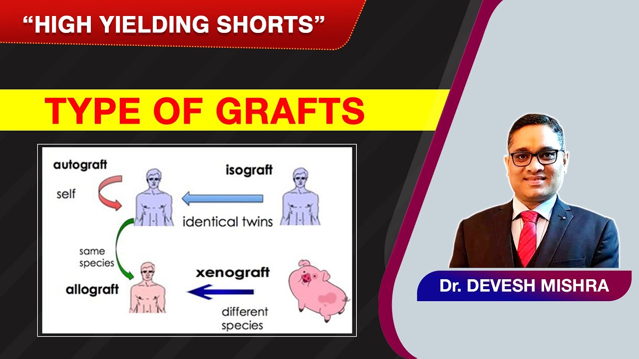 High Yielding Shorts67 (HYS67) Types of Graft by Dr. Devesh Mishra. YouTube