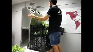 Vegetables Broccoli Cutting Machine - Broccoli Floretting Machine - Aerus - www.aitenet.com