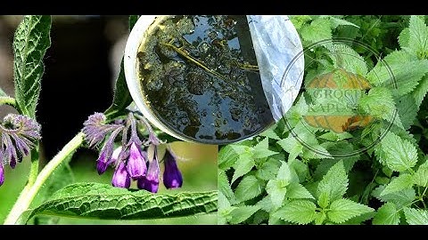 [ENG] March to June use nettle slurry, from July comfrey use slurry. Here